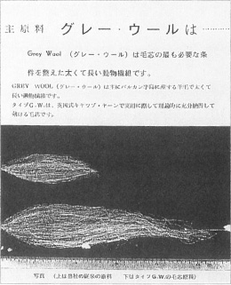 タイプGWの発表