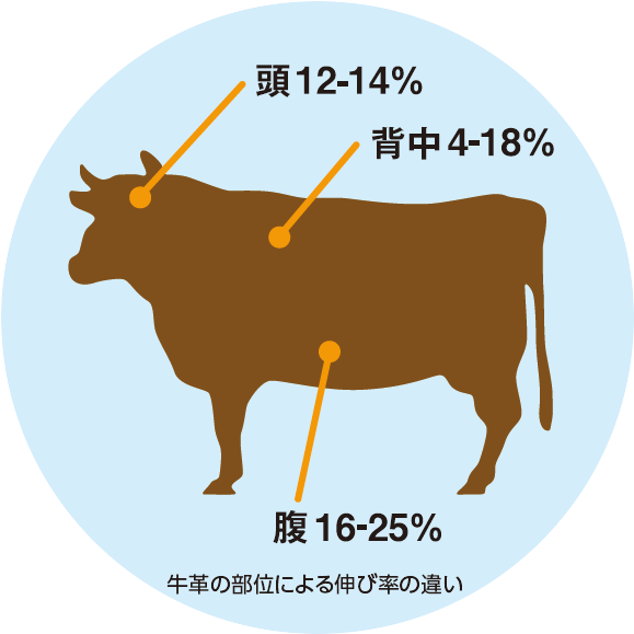 牛革　伸度イメージ