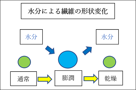 水分による繊維の膨張について