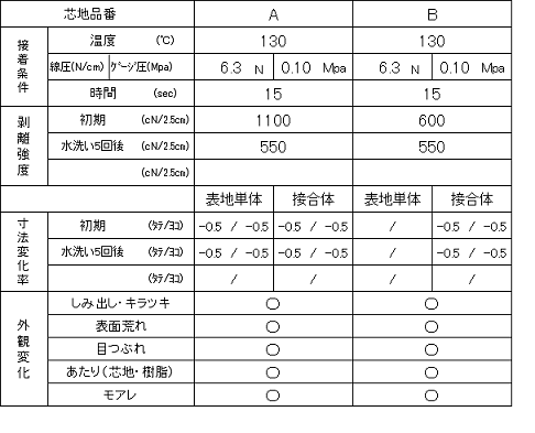 接着試験　試験報告書